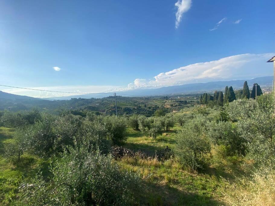 فيلا La Vecchia Bottega Montorio  المظهر الخارجي الصورة